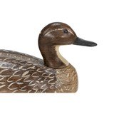 Pair of Pintail Decoys - 3 of 10