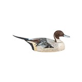 Pair of Pintail Decoys - 6 of 10