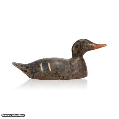 Hen Mallard by Ward Williams