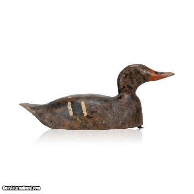 Hen Mallard by Ward Williams