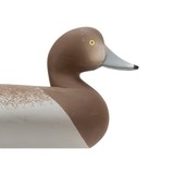 Redhead Drake and Hen Decoys - 3 of 10