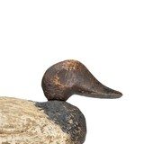 Grubb Factory Canvasback Drake Decoy - 3 of 5