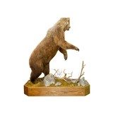 Alaskan Brown Bear - 4 of 7