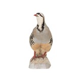 Chukar Standing Mount - 4 of 5