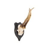 Roe Deer Plaque - 2 of 4