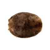 Medium Tanned Beaver Pelt - 3 of 6