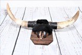 Steer Horn Hat Rack with Hoof - 1 of 5