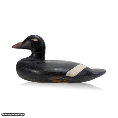 White Wing Scooter Decoy