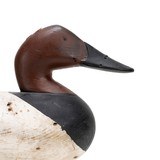 Pair of Canvasback Decoys - 4 of 10