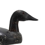 Canvasback Decoy - 3 of 5