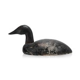 Canvasback Decoy - 1 of 5
