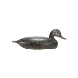 Eastern Black Duck Decoy - 2 of 5