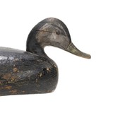 Eastern Black Duck Decoy - 3 of 5