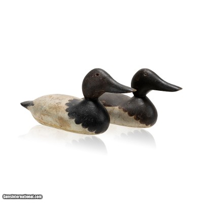 Canvasback Pair Decoys