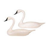 Matched Swan Pair - 1 of 13