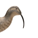 Shorebird Decoy - 3 of 4