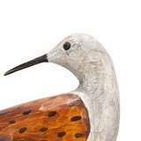 Shorebird Decoy - 3 of 5
