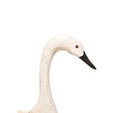 Swan Decoy - 3 of 5