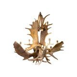 Northern Highland Moose Chandelier - 1 of 5