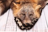 Gray Fox Rug - 3 of 5