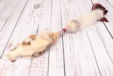 Plateau Style Coyote Skull Medicine Wand - 2 of 8