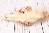 Plateau Style Coyote Skull Medicine Wand - 3 of 8