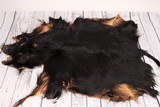 Tanned Wild Boar Skin - 1 of 5