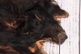 Tanned Wild Boar Skin - 4 of 5