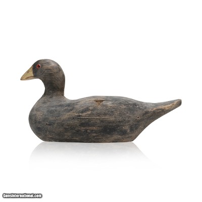 Jackie Novie Coot Decoy
