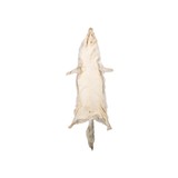 Coyote Fur Pelt - 4 of 5