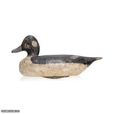 Bufflehead Decoy
