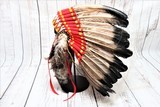 Plains Style Headdress - 2 of 4