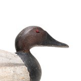 Canvasback Decoy - 3 of 5