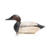 Canvasback Decoy - 1 of 5