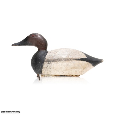 Canvasback Decoy
