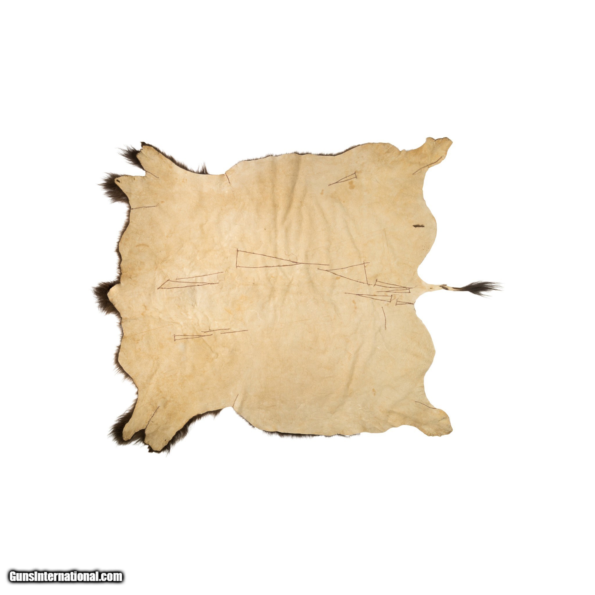 Buffalo Hide