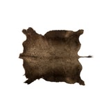 Buffalo Hide - 1 of 3