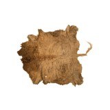 Scottish Highland Bull Hide - 1 of 3