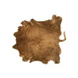 Scottish Highland Bull Hide - 1 of 3