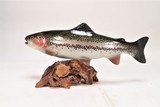 Rainbow Trout Mount - 2 of 5