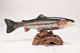 Rainbow Trout Mount - 1 of 5