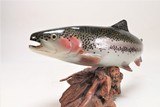 Rainbow Trout Mount - 3 of 5