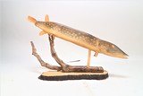 Carved Northern Pike - 1 of 7