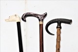 Collection of Three Canes - 1 of 9