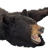 Black Bear Rug - 4 of 6