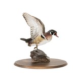 Drake Wood Duck Mount - 3 of 5