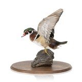 Drake Wood Duck Mount - 1 of 5