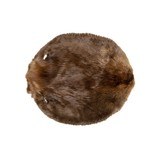Small Tanned Beaver Pelt - 3 of 6