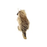 Porcupine Full Mount Taxidermy - 4 of 5