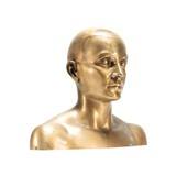 Two Documented Anthropometric Analogous Brass Mannequin Heads - 3 of 14